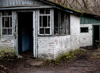 Fototapeta na wymiar Abandoned house in Zalissya within The radioactive Chernobyl exclusion zone . 
