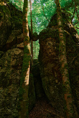 Wandern in der Fränkischen Schweiz.