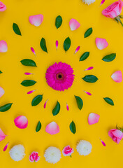 Pink flower with yellow background 