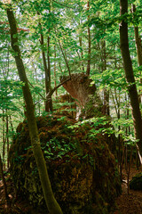 Wandern in der Fränkischen Schweiz.