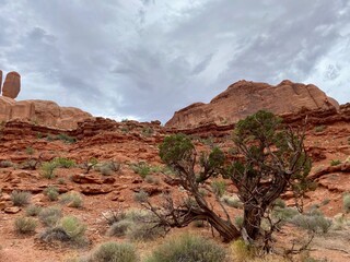 View from Arches National Park Utah