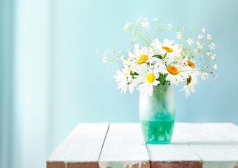 Camomile daisy flower bouquet in vase on wooden table empty space blue background,romantic spring decor.