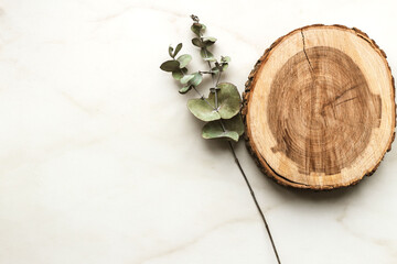 Fresh eucalyptus leaves with wood slice on marble background,mock up for adding text,copy space. Top view