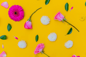 Pink flower with yellow background 