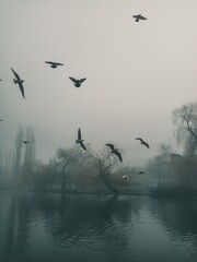 flight of birds over the lake in the park