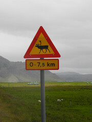 Warnschild 'Elch' auf Island