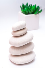 Spa stones and green flower  isolated