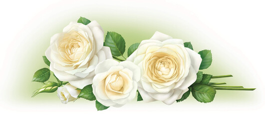 Fototapeta na wymiar Bouquet of white roses