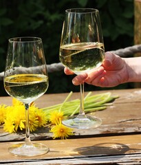 White wine in glasses at a picnic