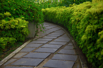 paved walkway path goes into the park among green bushes