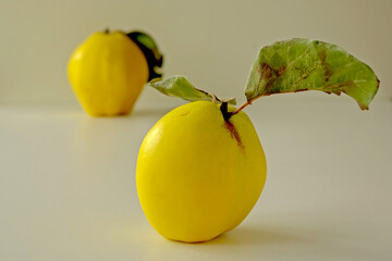 quince close-up