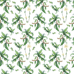 Tropical pattern with jungle leaves, palm tree. Exotic leaves illustrations horizontal frame, jungle tree on white background