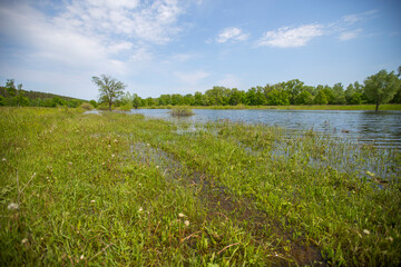 view of spring flood meadow