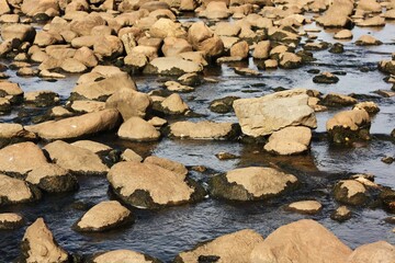 Beautiful landscape rocks and water in the forest