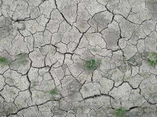 Dry soil texture on the ground. nature