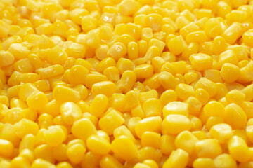 Tasty yellow grains of corn.