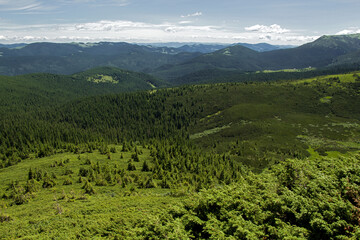 Goverla summer view, Carpathian mountains climbing, Ukraine