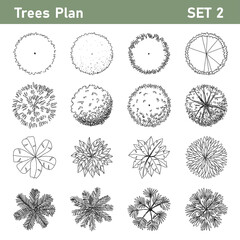 Tree top, tree plan - free hand drawn doodle top view trees for landscape  plan. Can change the stroke line