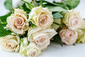 A bouquet of delicate greenish roses on a light background. Background of cream and pink roses