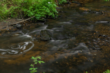 Fototapeta na wymiar Bily Halstrov creek in west Bohemia in spring sunny fresh day