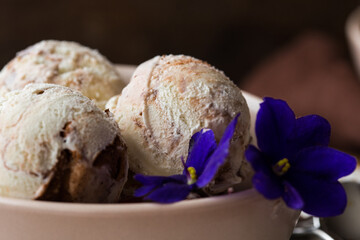 Chocolate ice cream scoops  in white bowl, chocolate and mint decoration. Summer food concept with copy space.