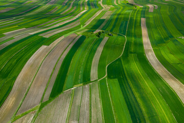 Poland from above. Aerial view of green agricultural fields and village. Landscape with fields of...