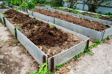 The vegetable bed is fertilized with manure in the autumn garden. Technology for growing vegetables on high beds
