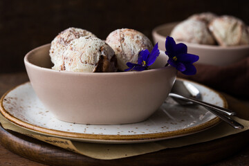 Chocolate ice cream scoops  in white bowl, chocolate and mint decoration. Summer food concept with copy space.