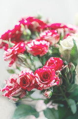 bouquet of delicate variegated white-red medium-sized roses on a light background. Background of pink roses
