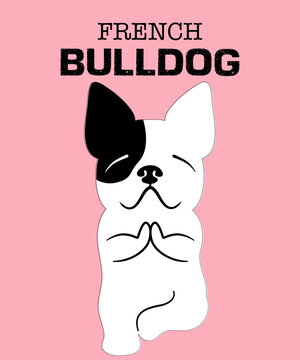 French bulldog doing yoga. French dog hand drawn. Vector illustration art on pink pastel background.