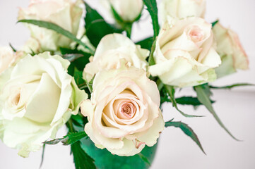 Romantic bouquet of delicate greenish roses on a light background. Background of cream and pink roses. Close-up, selective focus