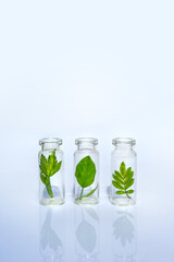 Bottles with herbs for natural essential oils and organic cosmetics on the white background. Concept of an eco laboratory for the production of natural products, supplement, cosmetics
