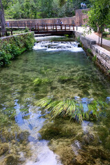 Fototapeta na wymiar Picturesque bridge and plants around river Krka, in National Park Krka, Croatia.