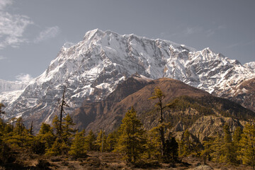 Himalayan views in the Annapurna circuit trek