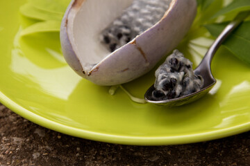 Akebia quinata fruits
