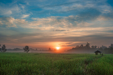 Fototapeta na wymiar Morning sunshine in the rainy season The Fields of Thailand