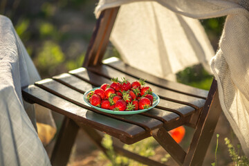 Strawberry on a wooden chair in the middle of a poppies field.