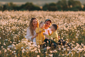 Happy family, mom, dad, son and baby daughter in a field of daisies.