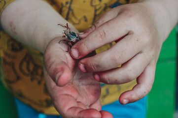 A child holds a may bug in his hands