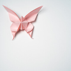 Fototapeta premium origami pink butterfly on a white background