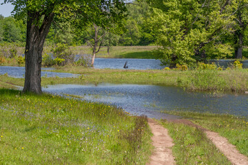 spring flood, flooded meadow and forest