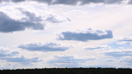 silvery clouds on a pink-gray sky flying over the black peaks of forest trees