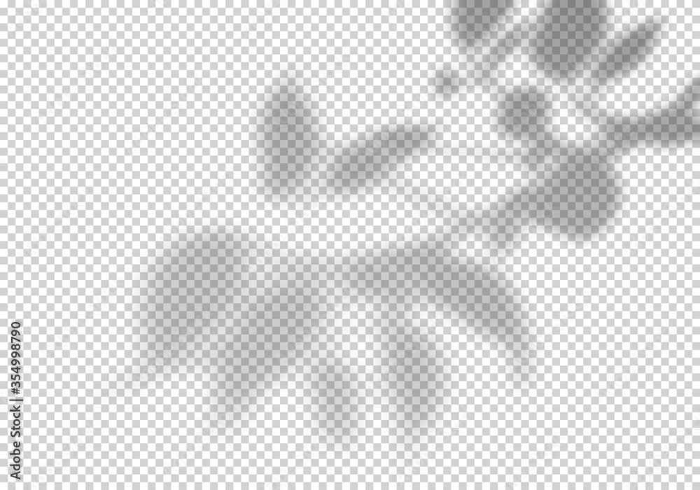 Poster transparent vector shadow of leaves. creative overlay effect for mockups and summer banners
