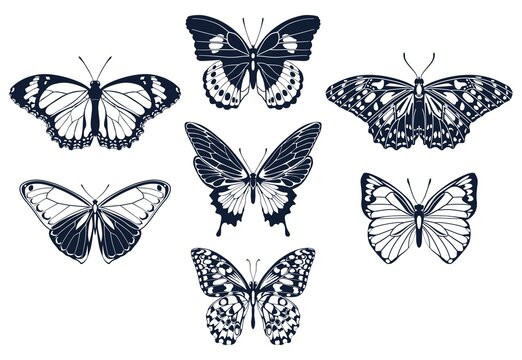 Set of butterflies icon silhouettes. Vector illustration.