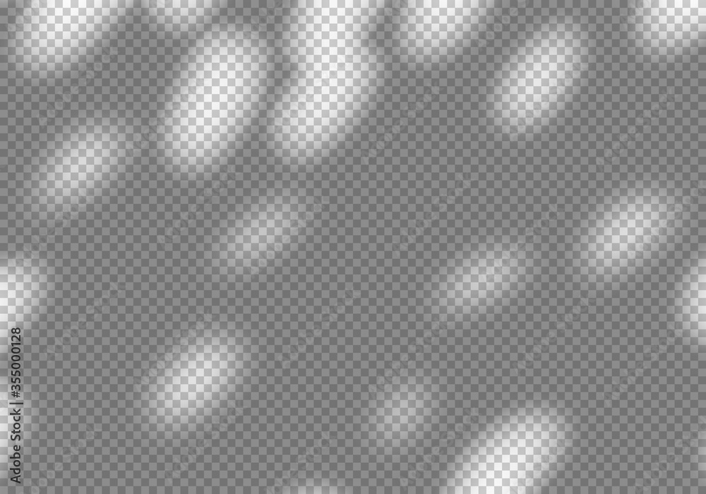 Poster Vector Transparent Shadow of Foliage Silhouette. Decorative Design Element for Banners. Shadow Overlay Effect