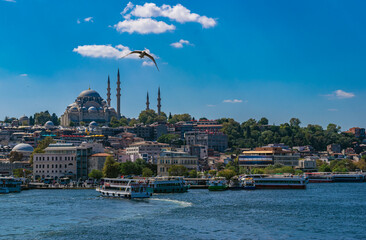 Cityscape of Istanbul with magnificent Süleymaniye Mosque, flying seagull, sailing ferryboats and Eminönü embankment during the daytime. Eminönü, Istanbul, Turkey 