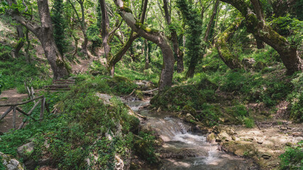 Obraz premium water creek in the forest of Palia Kavala Greece