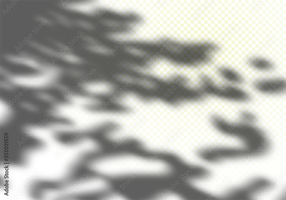 Poster abstract summer sunlights background. vector gray foliage shadow overlay with light bokeh. natural l