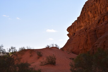 Huge canyon with vegetation on sandy soil in the Wadi Rum Desert, Wadi Rum Desert, Jordan (Natur, Parks/im Freien)