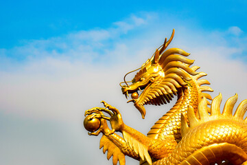 Fototapeta na wymiar Golden dragon statue in blue sky background